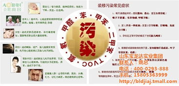 臨朐玻璃膠廠與寶龍達集團 如何利用個人互聯(lián)網(wǎng)服務(wù)實現(xiàn)在線咨詢？